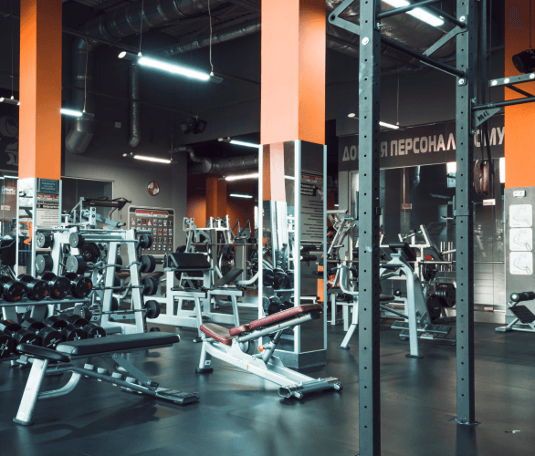 Gimnasios, deportes y fitness